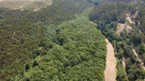 Terreno para Venda em Canedo, Vale e Vila Maior