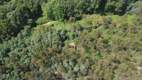 Terreno para Venda em Canedo, Vale e Vila Maior