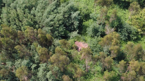 Terreno para Venda em Canedo, Vale e Vila Maior