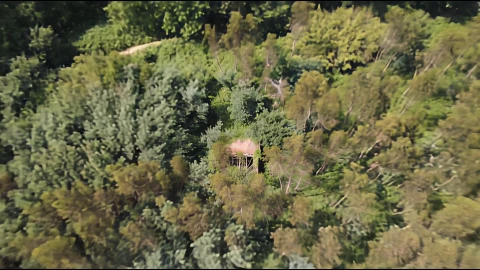Terreno para Venda em Canedo, Vale e Vila Maior