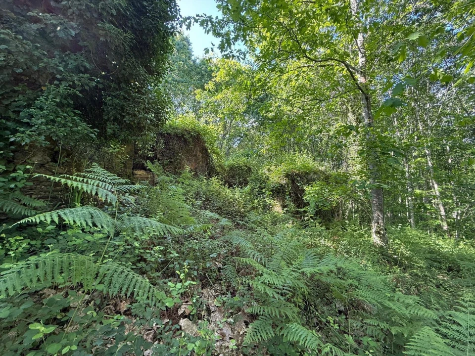 Terreno para Venda em Canedo, Vale e Vila Maior Foto 5