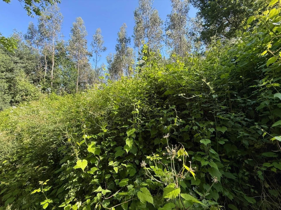 Terreno para Venda em Canedo, Vale e Vila Maior Foto 3