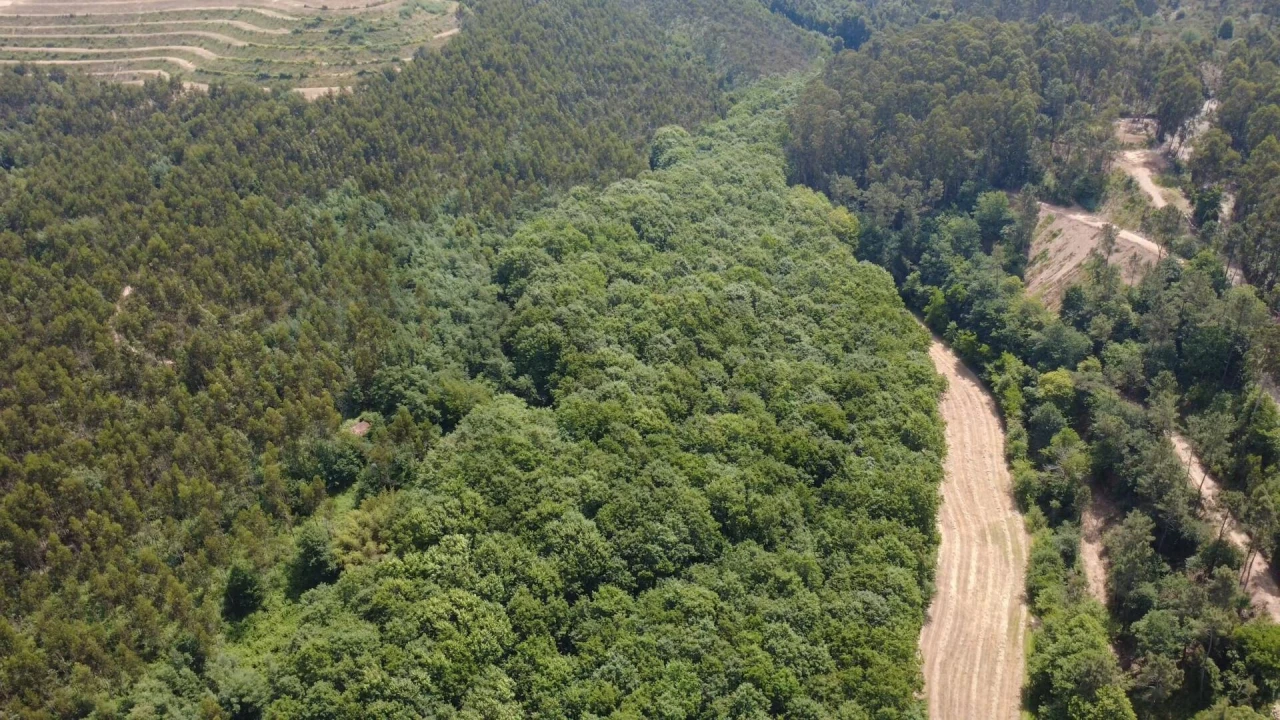 Terreno para Venda em Canedo, Vale e Vila Maior Foto 4