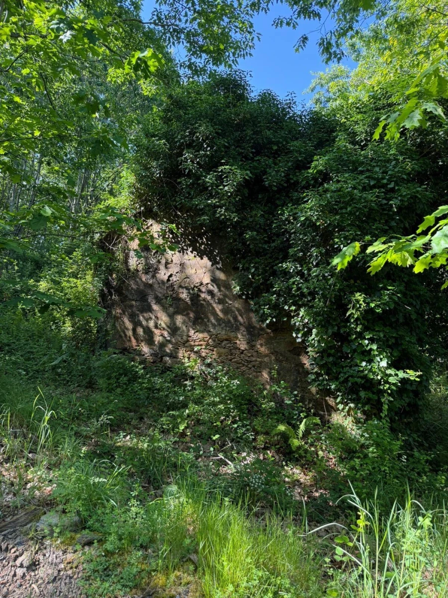 Terreno para Venda em Canedo, Vale e Vila Maior Foto 6