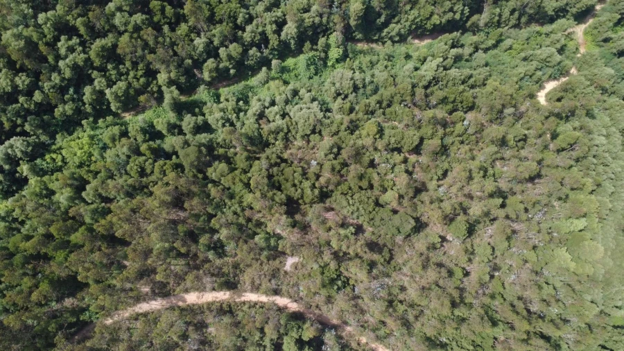 Terreno para Venda em Canedo, Vale e Vila Maior Foto 8