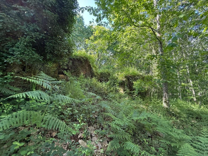 Terreno para Venda em Canedo, Vale e Vila Maior Foto 5