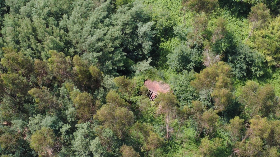 Terreno para Venda em Canedo, Vale e Vila Maior Foto 6