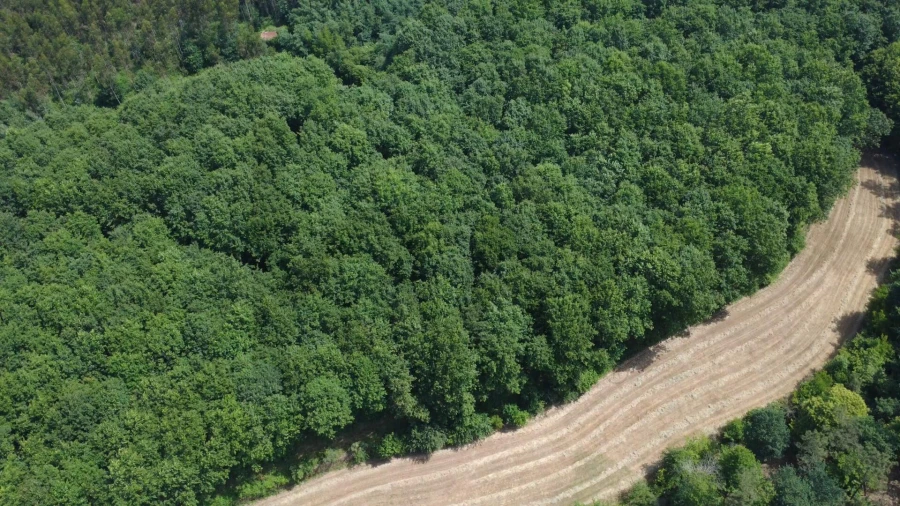 Terreno para Venda em Canedo, Vale e Vila Maior Foto 9