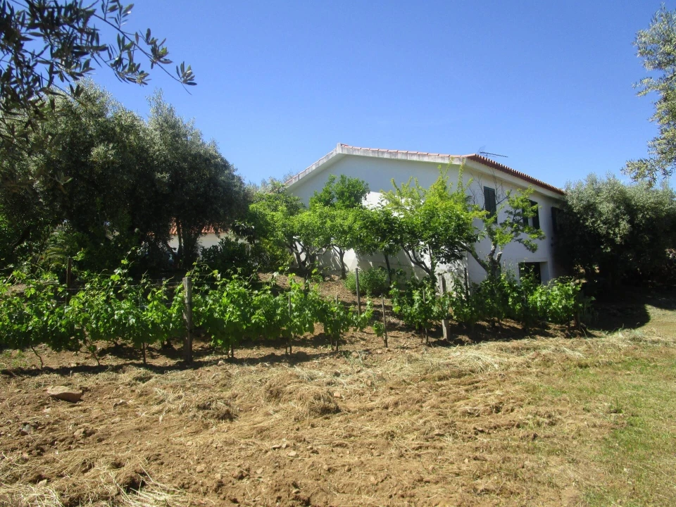 Terreno para Venda em Chacim Foto 5