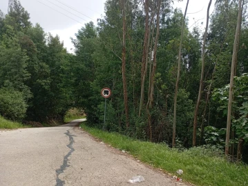 Terreno para Venda em Ceira