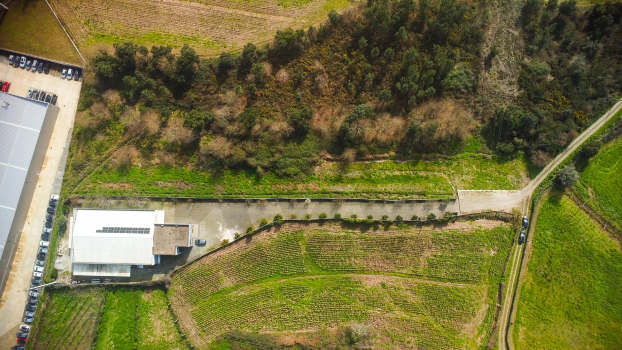 Terreno para Venda em Campo e Sobrado Foto 5