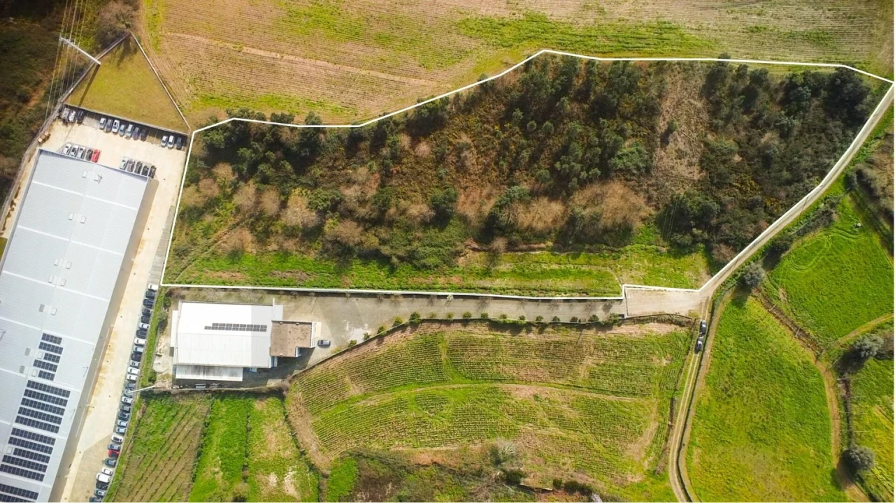 Terreno para Venda em Campo e Sobrado Foto 1