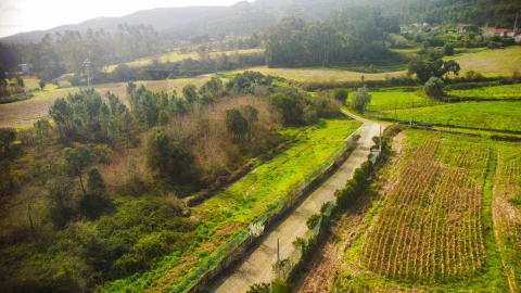 Terreno para Venda em Campo e Sobrado