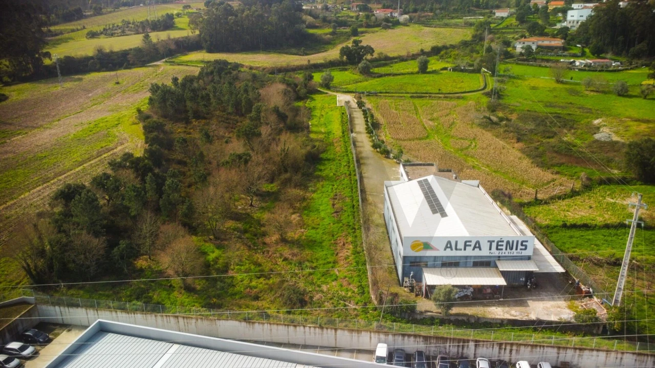 Terreno para Venda em Campo e Sobrado Foto 2