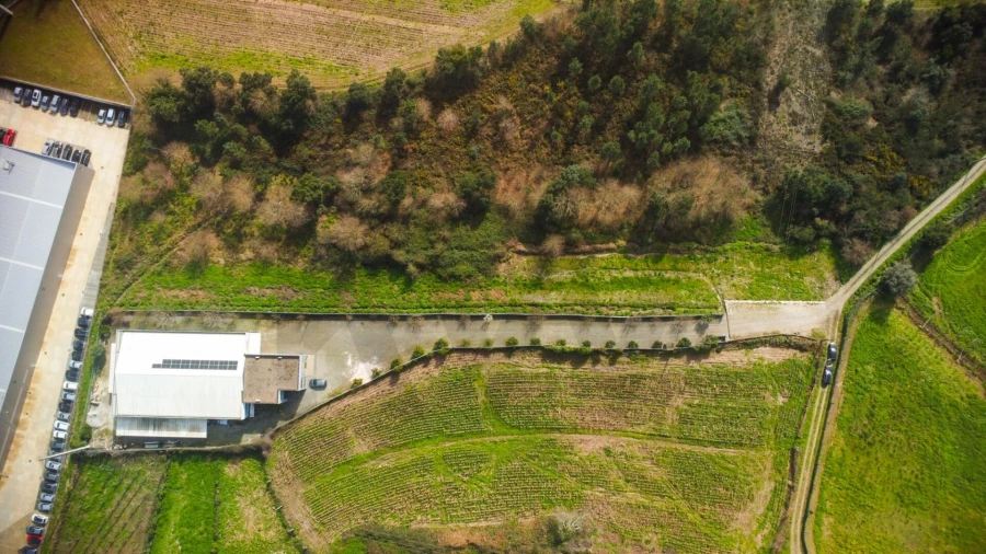 Terreno para Venda em Campo e Sobrado Foto 5