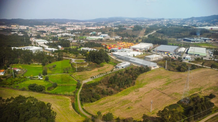 Terreno para Venda em Campo e Sobrado Foto 8