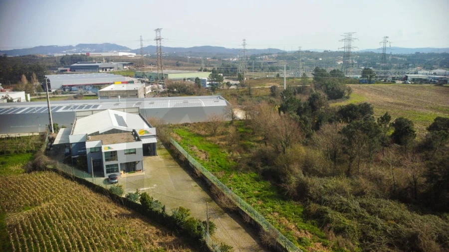 Terreno para Venda em Campo e Sobrado Foto 4