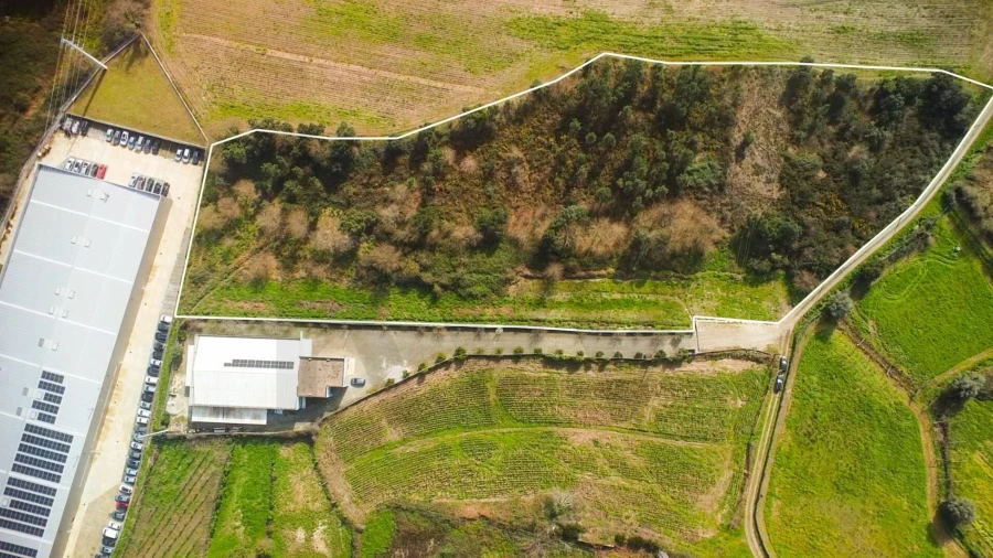 Terreno para Venda em Campo e Sobrado