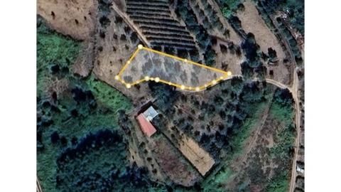 Terreno para Venda em Ceira