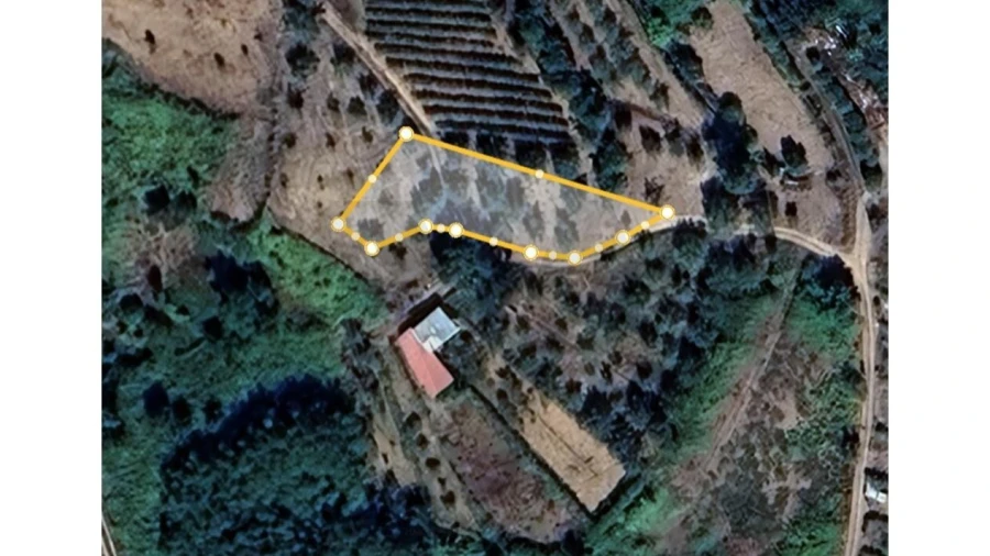 Terreno para Venda em Ceira