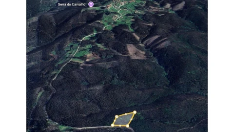 Terreno para Venda em Ceira