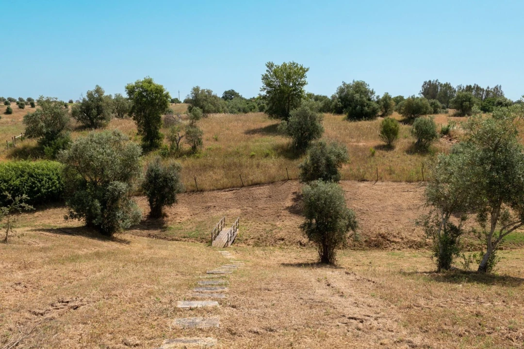 Moradia T3 para Venda em Cortiçadas de Lavre e Lavre Foto 73