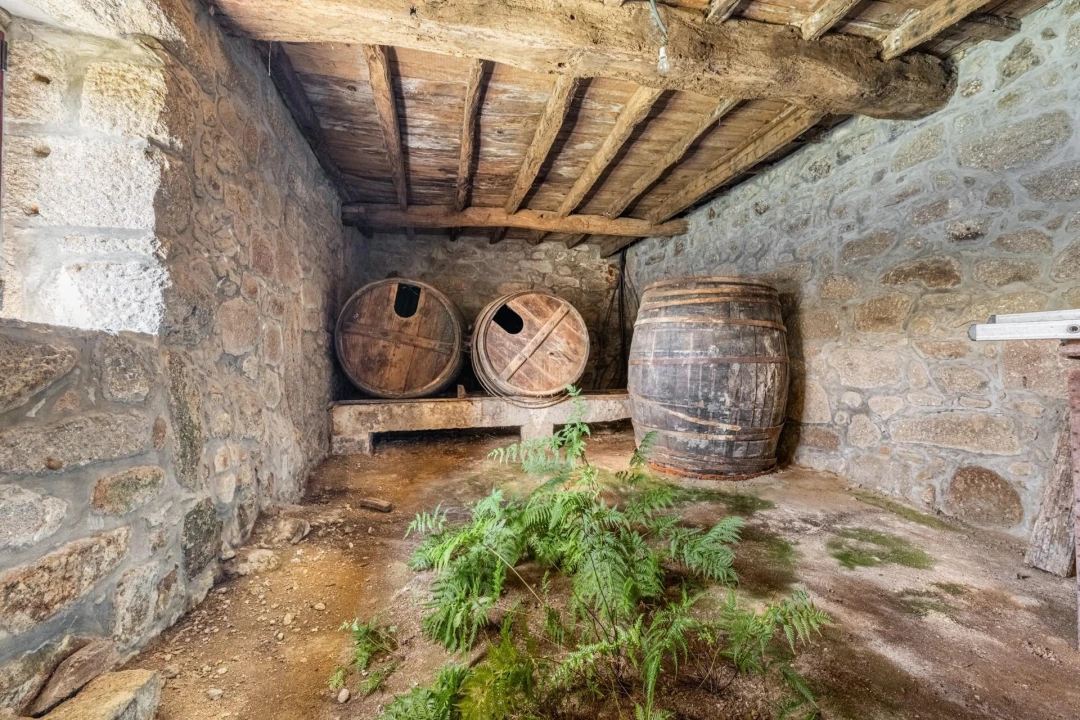 Quinta T4 para Venda em Ferreiros, Prozelo e Besteiros Foto 19
