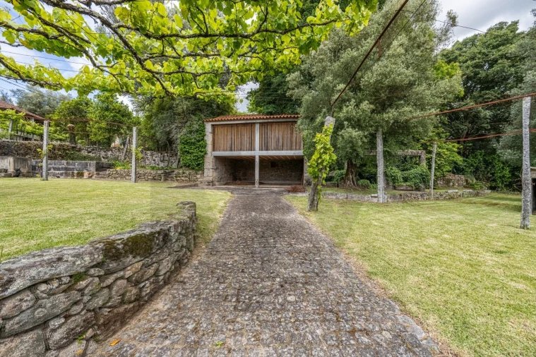 Quinta T4 para Venda em Ferreiros, Prozelo e Besteiros Foto 20