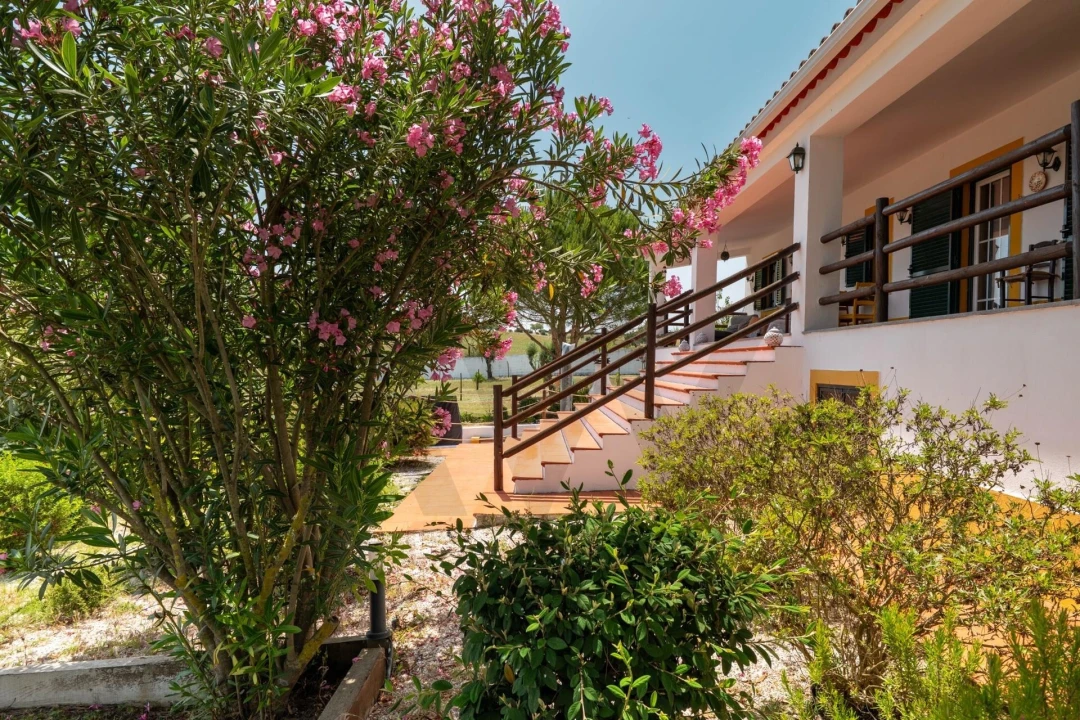 Quinta T3 para Venda em Cortiçadas de Lavre e Lavre Foto 60