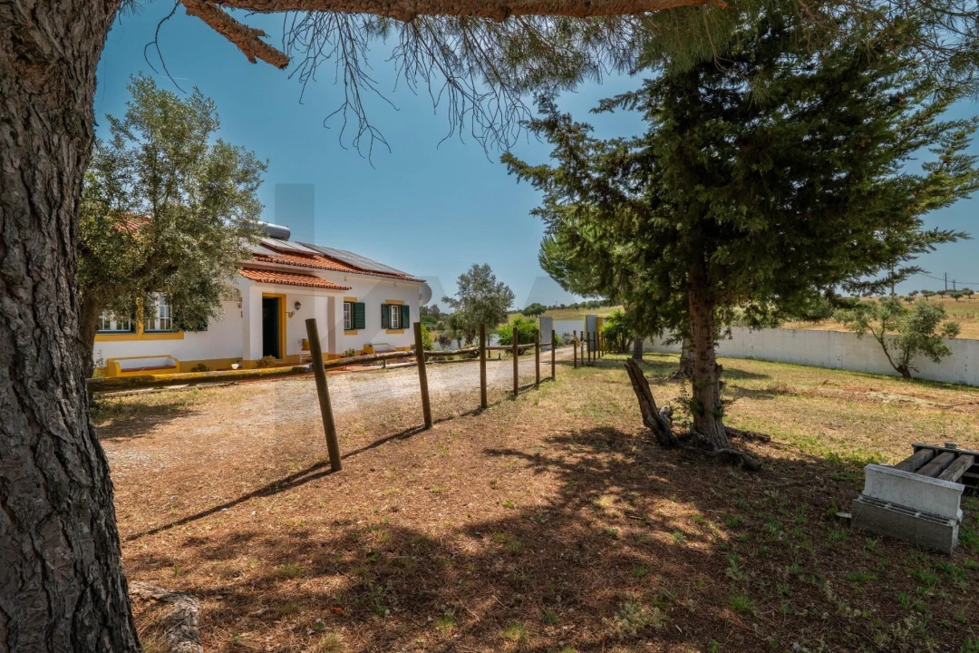 Quinta T3 para Venda em Cortiçadas de Lavre e Lavre Foto 74
