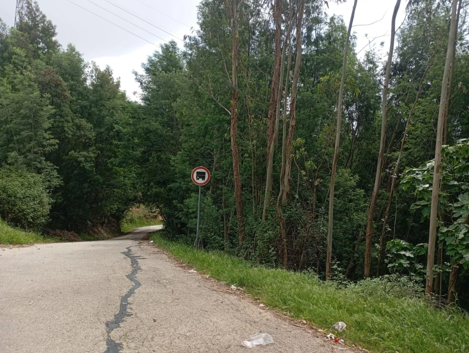 Terreno para Venda em Torres do Mondego Foto 2