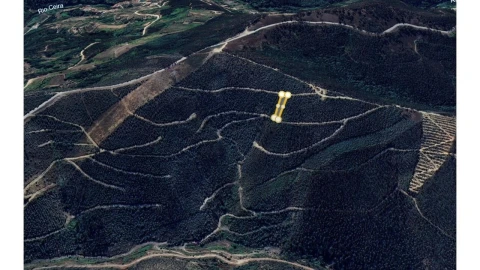 Terreno para Venda em Torres do Mondego