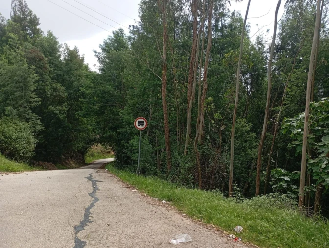 Terreno para Venda em Torres do Mondego Foto 2