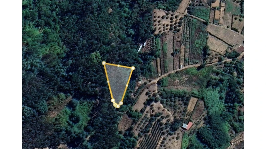 Terreno para Venda em Ceira