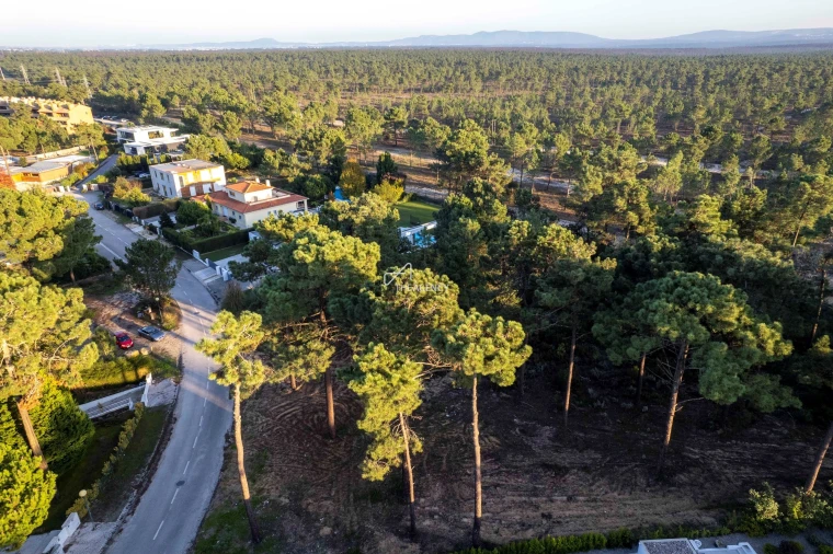 Terreno para Venda em Charneca de Caparica e Sobreda Foto 5