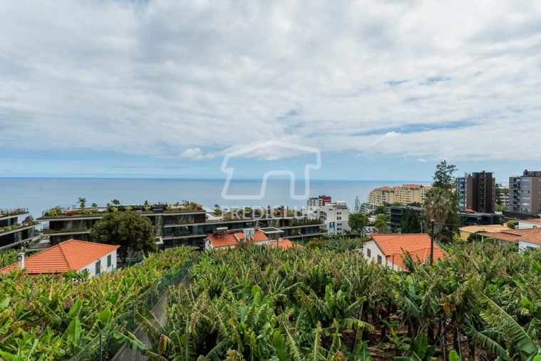 Moradia T2 para Venda em São Martinho Foto 18