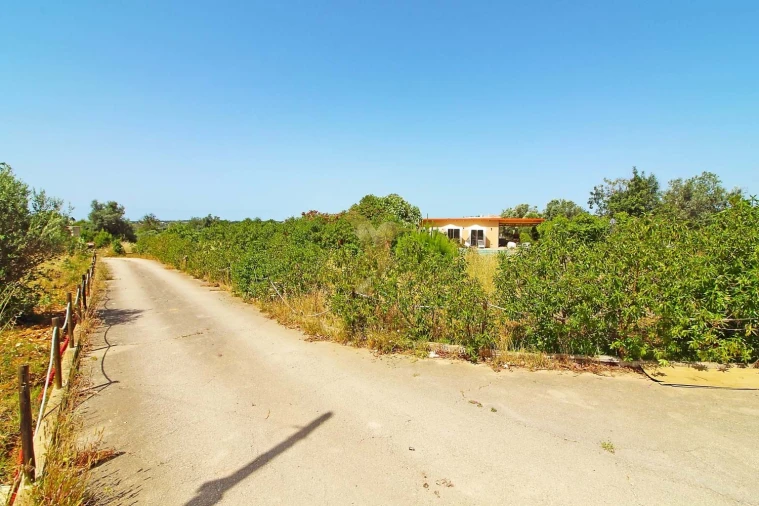 Moradia para Venda em Silves Foto 30