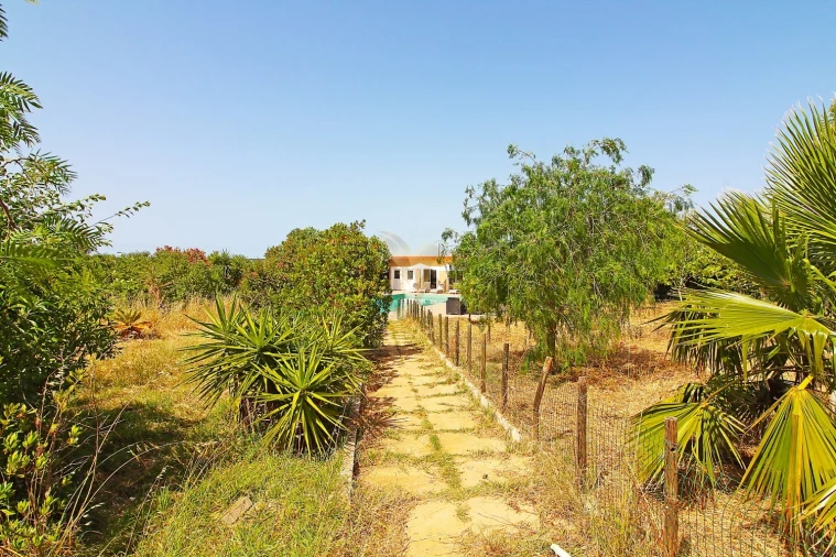 Moradia para Venda em Silves Foto 12