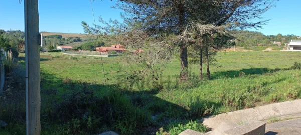 Terreno para Venda em Santa Maria e São Miguel, São Martinho, São Pedro Penaferrim