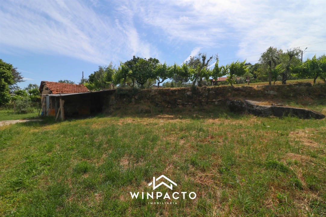 Terreno Agricola ou Rústico para Venda em Nelas Foto 3