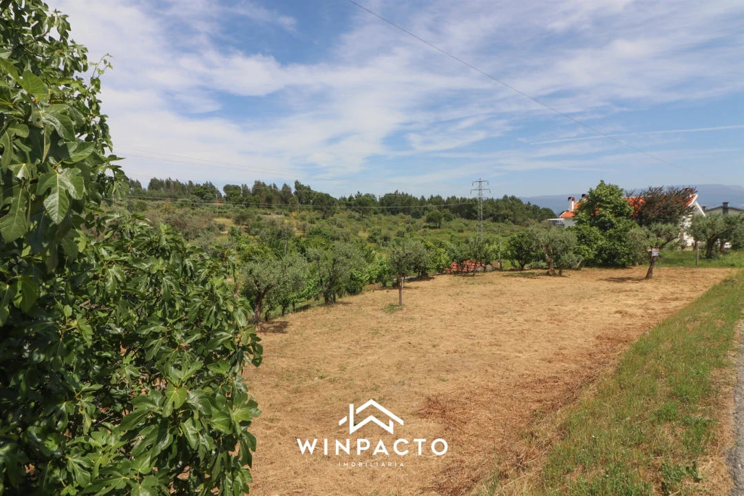 Terreno Agricola ou Rústico para Venda em Nelas Foto 12