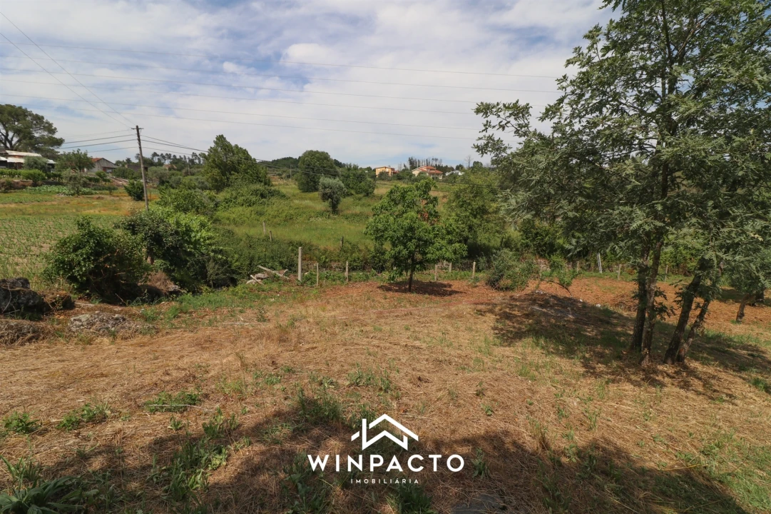 Terreno Agricola ou Rústico para Venda em Nelas Foto 10