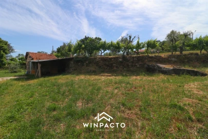 Terreno Agricola ou Rústico para Venda em Nelas