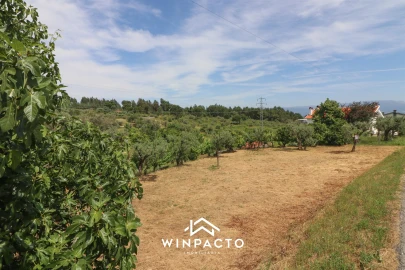 Terreno Agricola ou Rústico para Venda em Nelas