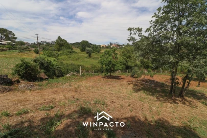Terreno Agricola ou Rústico para Venda em Nelas