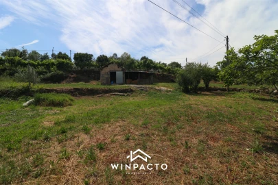 Terreno Agricola ou Rústico para Venda em Nelas