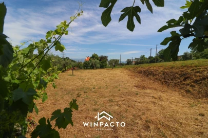 Terreno Agricola ou Rústico para Venda em Nelas