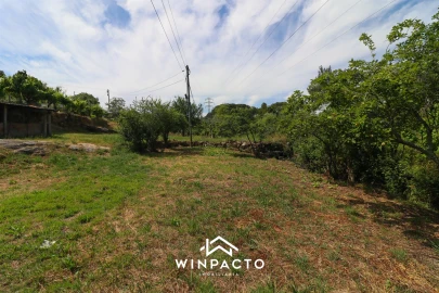 Terreno Agricola ou Rústico para Venda em Nelas