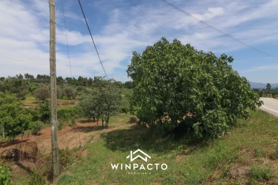 Terreno Agricola ou Rústico para Venda em Nelas