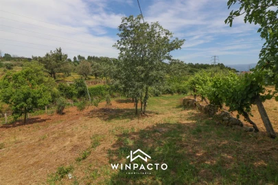 Terreno Agricola ou Rústico para Venda em Nelas